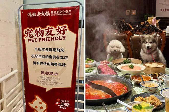 川成元麻辣香锅可以加盟吗__麻辣烫热狗图片