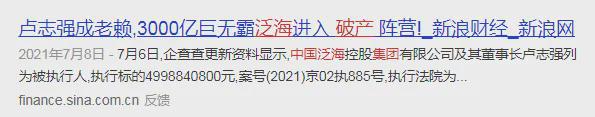 泛海系卢志强致投资者__泛海集团卢志强妻子图片