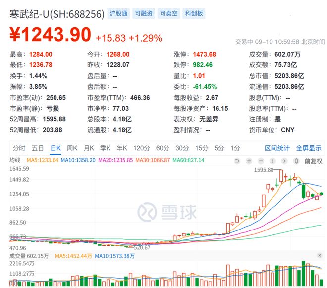 芯片替代概念股_国产芯片绝对龙头_