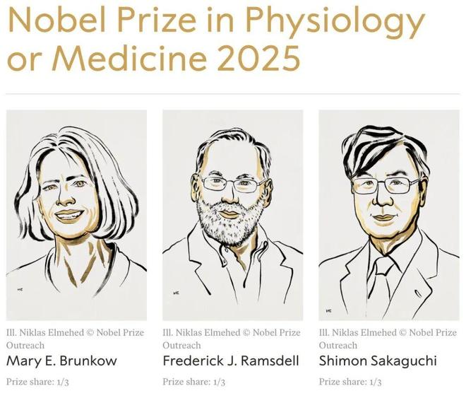 重磅！2025诺奖科学家：20年内，人类攻克癌症