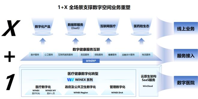 _龙头公司董事长_龙头集团董事长