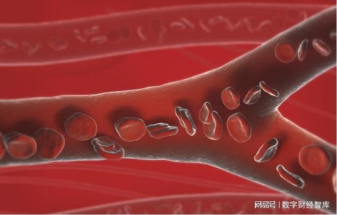 _替代房子_替代楼盘什么意思