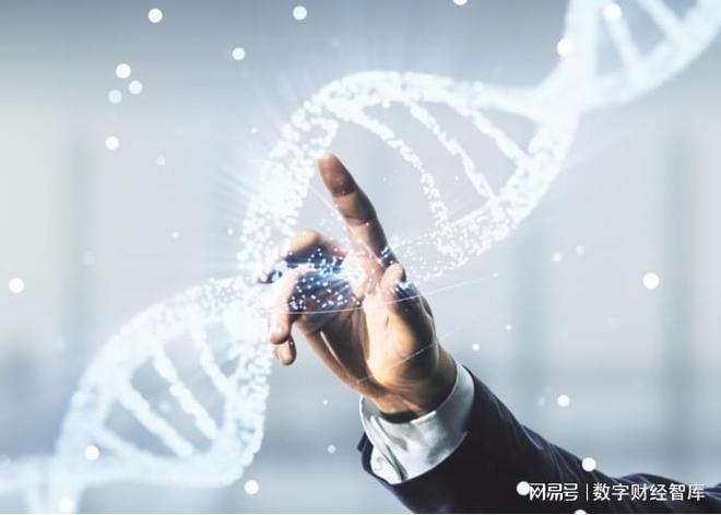 _替代房子_替代楼盘什么意思