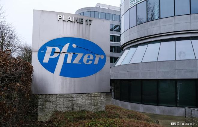 上海首富即将出狱_上海首富公司_