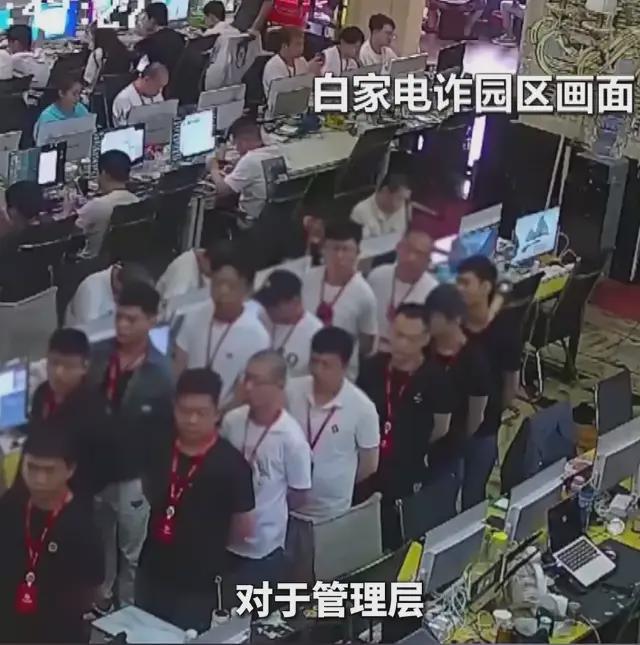 涉案金额286亿，缅北白家犯罪集团恶行曝光__涉案金额286亿，缅北白家犯罪集团恶行曝光
