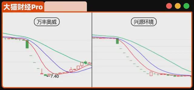 _女首富是谁_女首富出狱