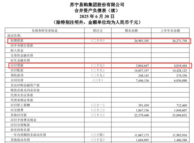 _苏宁易购寻求出售_苏宁易购背景图