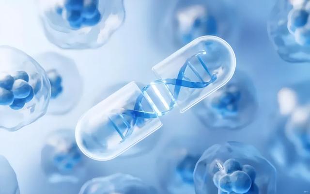 一战封神后一句__一战封神典故