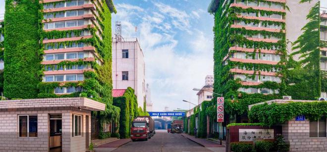 主板科技股龙头_科技板龙头_