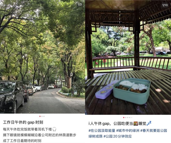 _世代新人顶级反设玩家内卷小说_Z世代新人设：反内卷顶级玩家