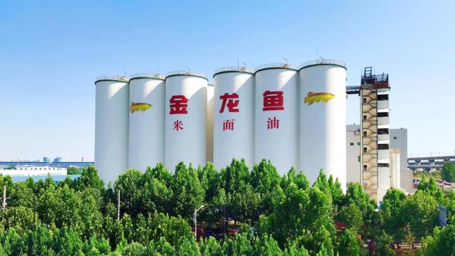 _福建宝藏传说_福建龙头山粮油真假