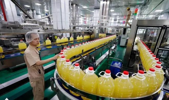 福建宝藏传说__福建龙头山粮油真假