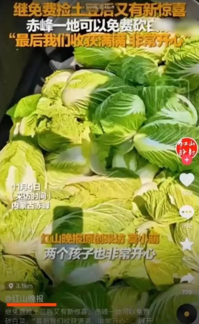 媒体被指失实报道坑农后，其抖音已关闭评论区_媒体被指失实报道坑农后，其抖音已关闭评论区_