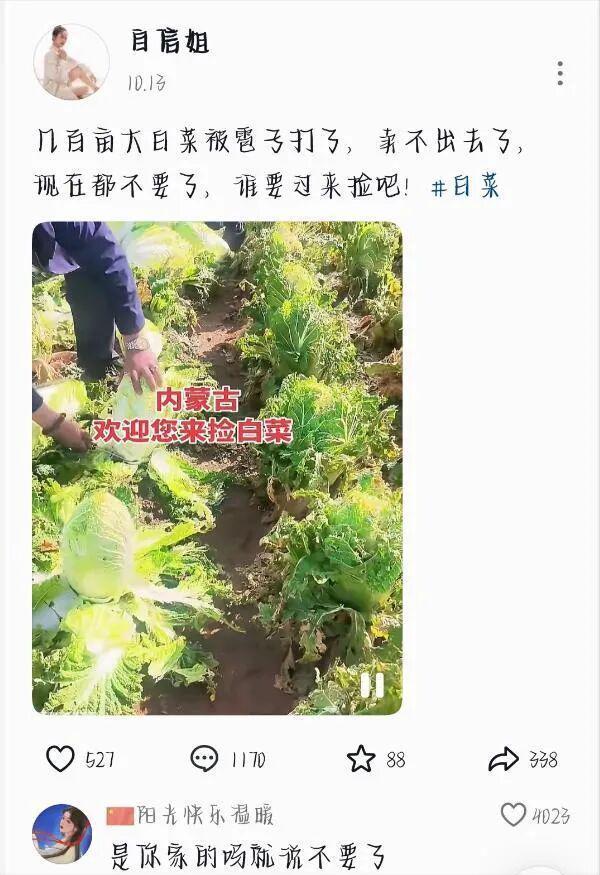媒体被指失实报道坑农后，其抖音已关闭评论区__媒体被指失实报道坑农后，其抖音已关闭评论区