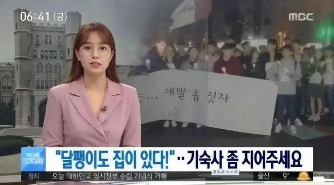 韩国整容效果_韩国整容术_