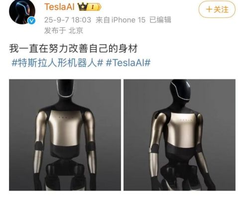 _激战打的是什么比赛_激战讲解