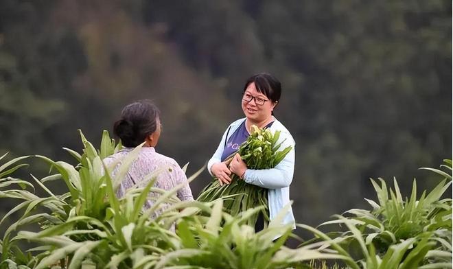 “打开长江口”的河海人：奋斗半个世纪，托起通江达海的中国__“打开长江口”的河海人：奋斗半个世纪，托起通江达海的中国