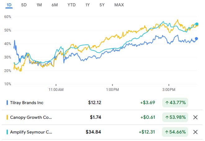 特朗普或大幅放宽大麻限制，大麻股暴涨