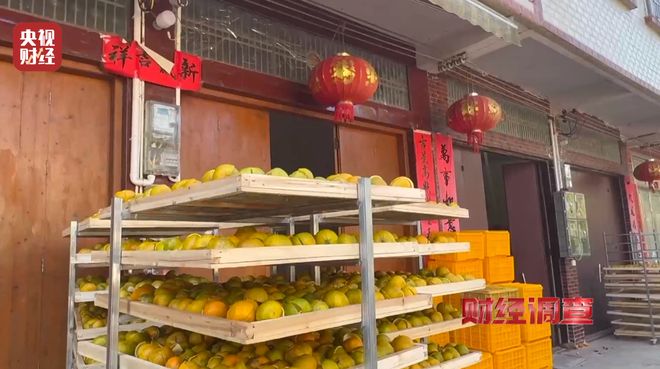 _陈皮产地区别_年份陈皮价格