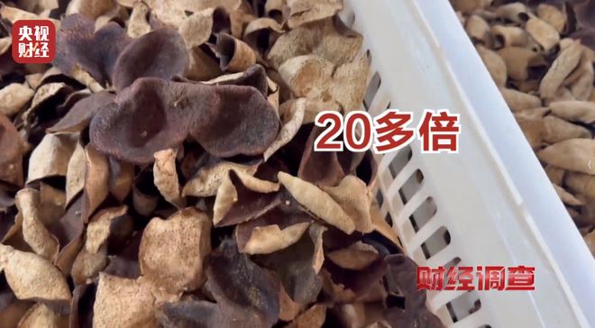 陈皮产地区别__年份陈皮价格