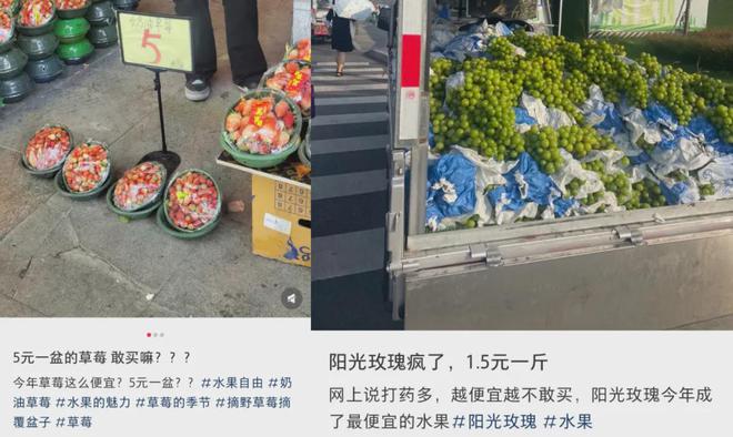 _收割无数人的贵族水果，集体塌房了_收割无数人的贵族水果，集体塌房了