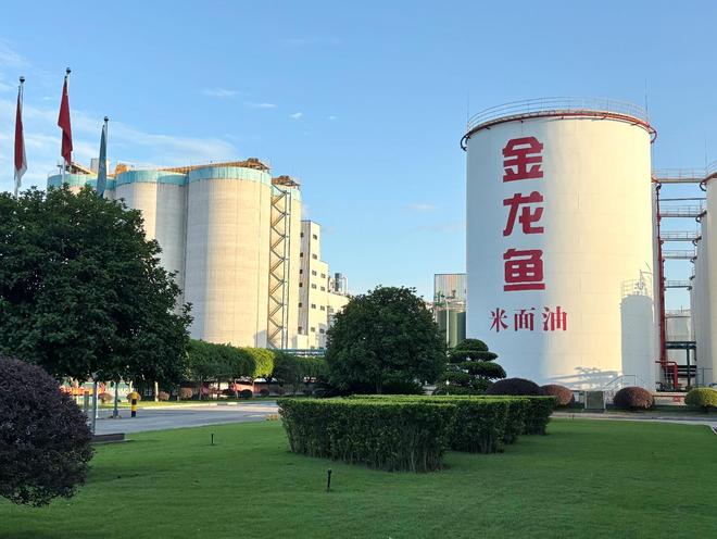金龙鱼一季度业绩预告_金龙鱼业绩第四季度业绩预期_