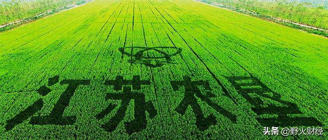 江苏国企工资__江苏国企高管年薪
