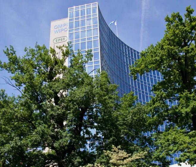 _玉米种子不好怎么打官司_种玉米赔钱吗