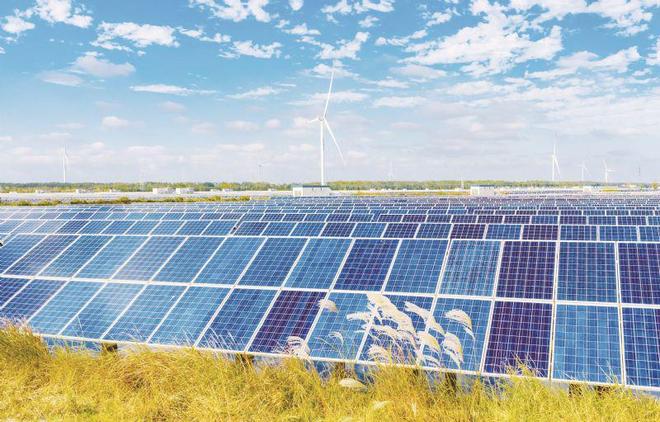 光伏“小作文”风波平息市值增386亿   价格企稳通威隆基单季减亏9.56亿