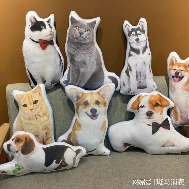 万亿征途，宠物市场新的爆发点何在？｜“争宠”③