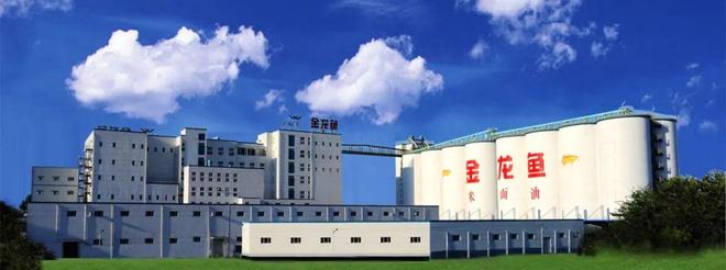 金龙鱼翻身了要怎么治_金龙鱼翻身能救活吗_