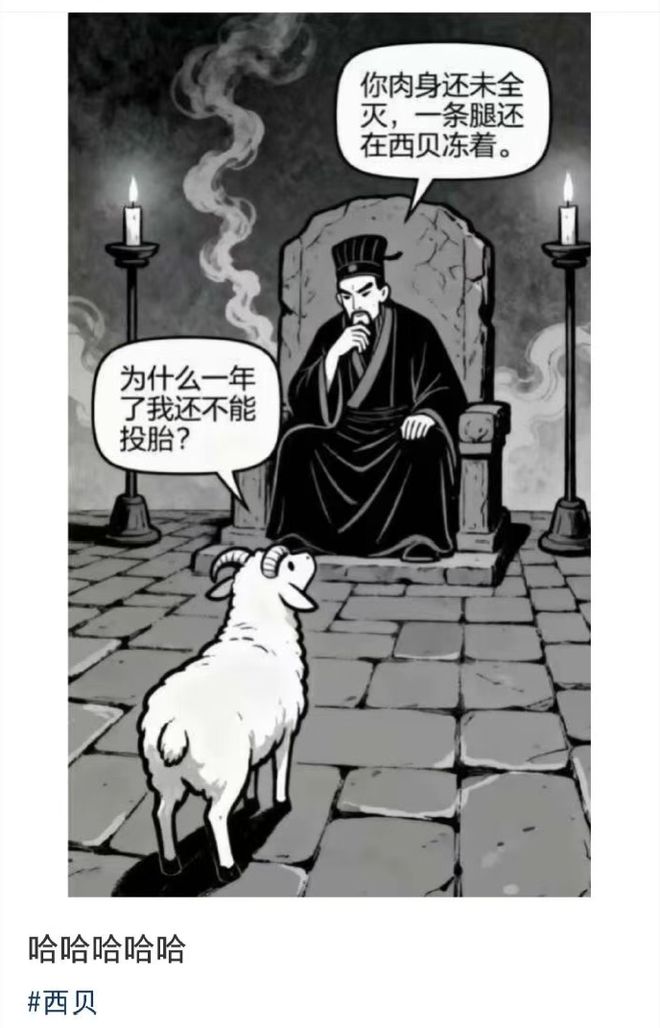 西贝终于道歉！但段子，够开脱口秀大会了_西贝终于道歉！但段子，够开脱口秀大会了_