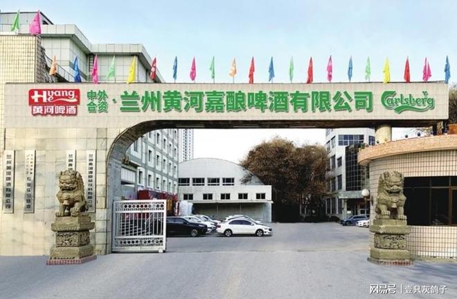 悬了！仅剩80天！“西北酒王”进入倒计时_悬了！仅剩80天！“西北酒王”进入倒计时_