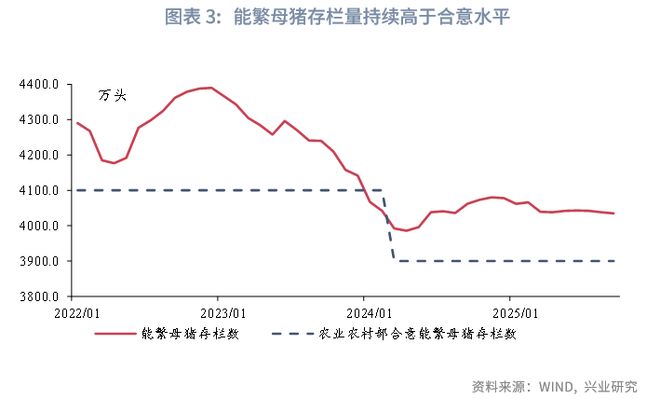鲁政委:猪周期——这次不一样__鲁政委:猪周期——这次不一样
