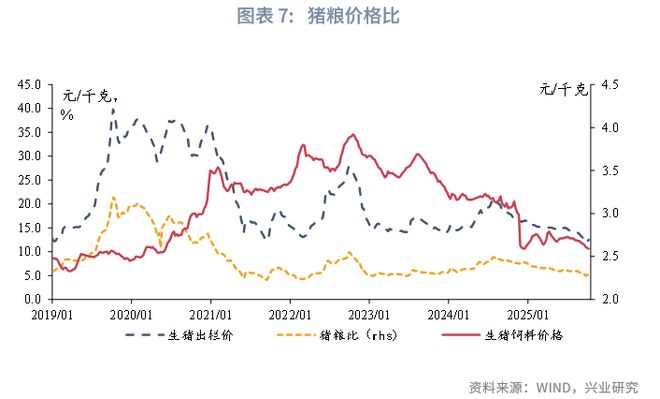 _鲁政委:猪周期——这次不一样_鲁政委:猪周期——这次不一样