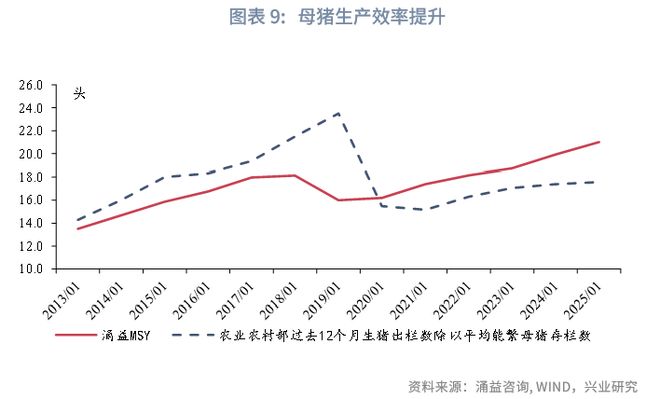 鲁政委:猪周期——这次不一样_鲁政委:猪周期——这次不一样_