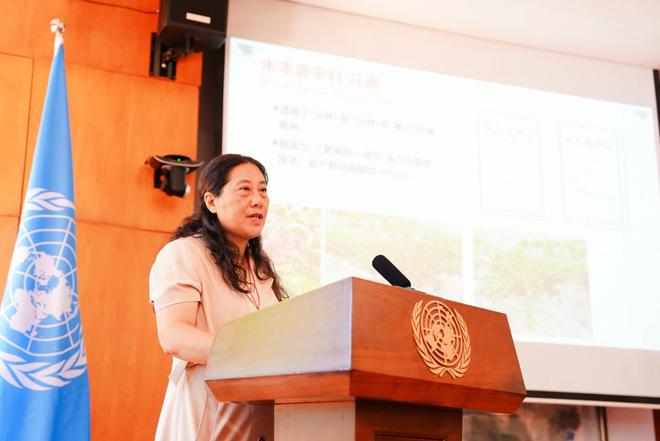 云南林业调查规划设计院__林业蓝图什么意思