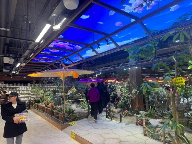 _农夫歌手_农夫集团老板