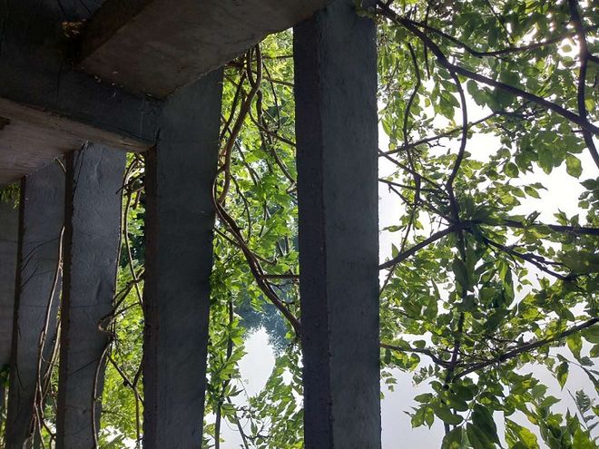 扛住伟大公司的回撤