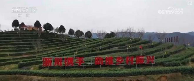 人工智能新动能_推动人工智能发展的发动机_