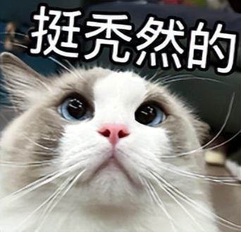 救医意思__救治医疗什么意思