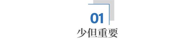 _稀土美国_稀土美国非常重视