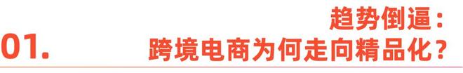 亚马逊 “下一代跨境链”：用供应链的确定性，锚定精品化时代