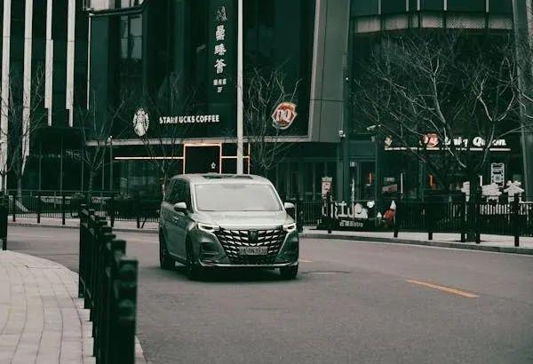 县城青年，买爆“剁椒鱼头车”_县城青年，买爆“剁椒鱼头车”_