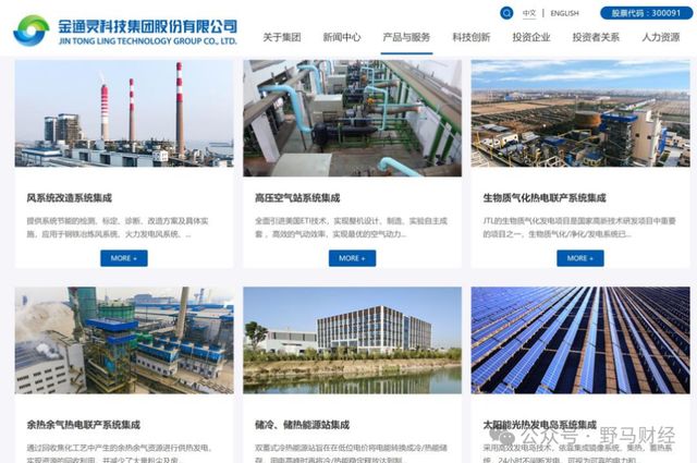 _第一起财务造假案例_财务造假老板会不会坐牢