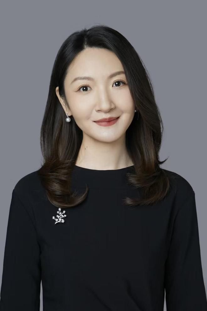 _对话英利集团董事长苗青：行业破局仍需聚焦“三新”探索_对话英利集团董事长苗青：行业破局仍需聚焦“三新”探索