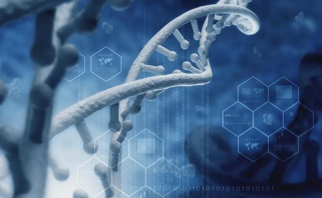 华熙生物：业绩告别高增长，未来之路到底在哪里？_华熙生物：业绩告别高增长，未来之路到底在哪里？_