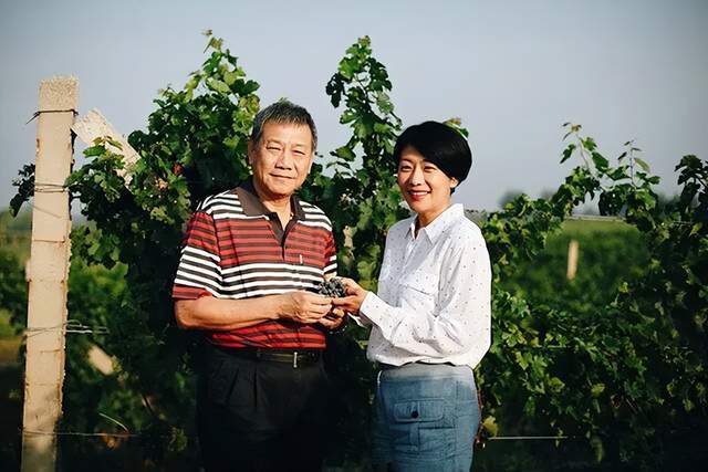 _山西葡萄酒酒庄_山西葡萄酒厂