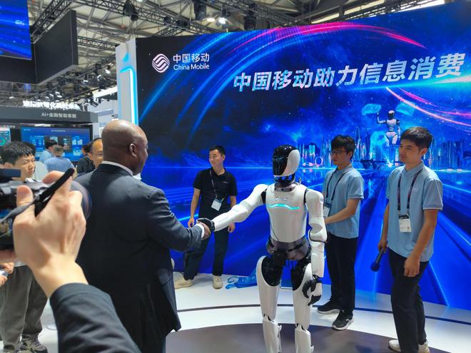 人形机器人__上海机器人长什么样