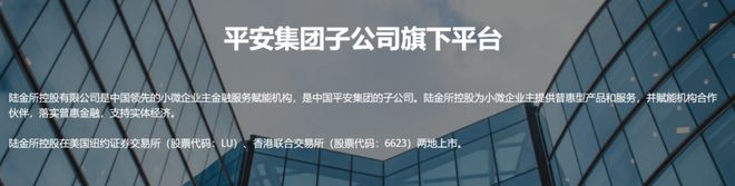 陆金所如何重新评估_陆金所和陆金服的区别_